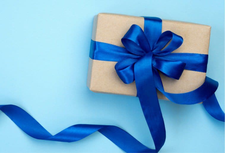 2024 wrapped: de highlights van afgelopen jaar en een vooruitblik