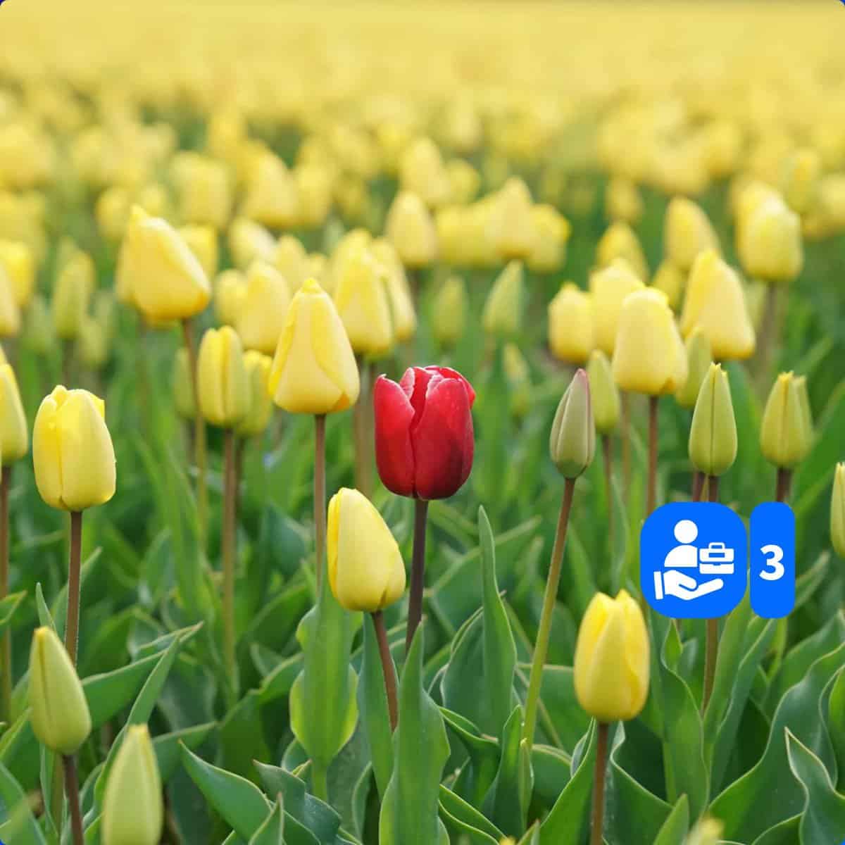 EVP vastgesteld? Zo vertaal je ‘m naar campagnes die raken